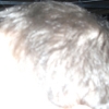 CIMG5744