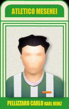 Pellizzaro Carlo