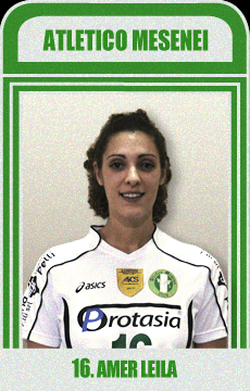 Amer Leila